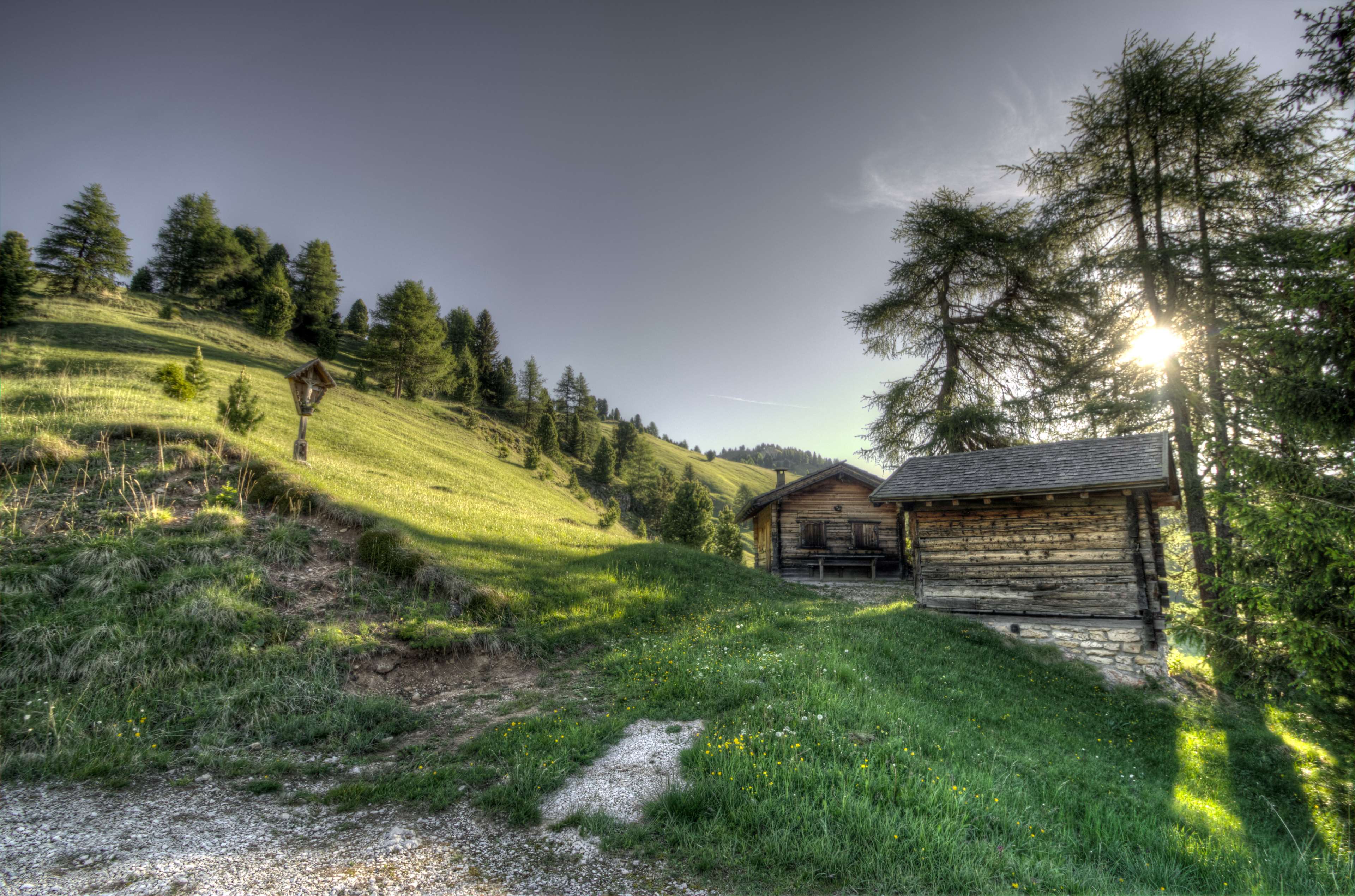 Mucche al pascolo montano, 1920x1080 Full HD 1080p, Laptop