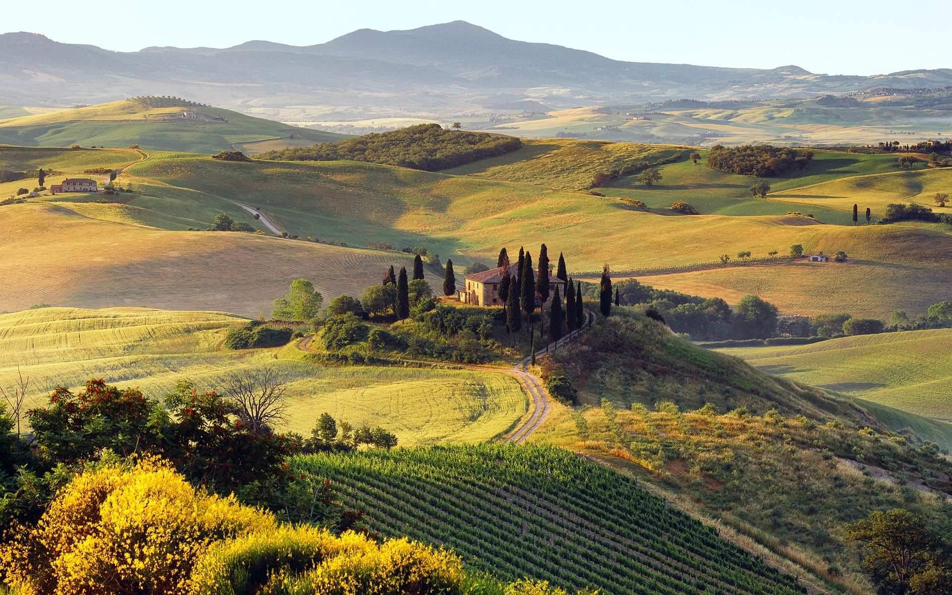 Paesaggio collinare toscano rurale, 1920x1200 Full HD+ WUXGA, Desktop