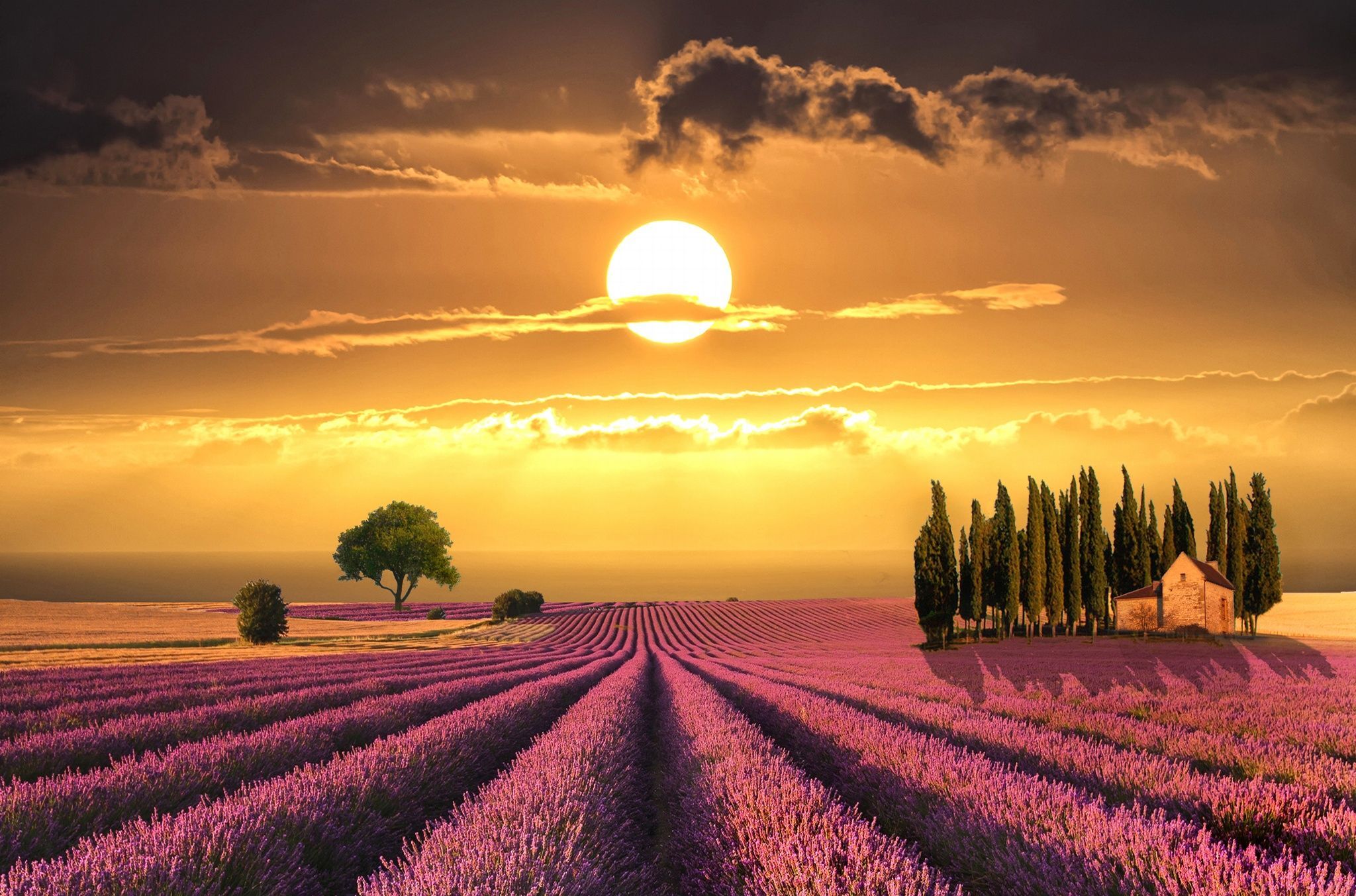 Campo di lavanda al tramonto, 2048x1353 Hi-Res, PC Desktop