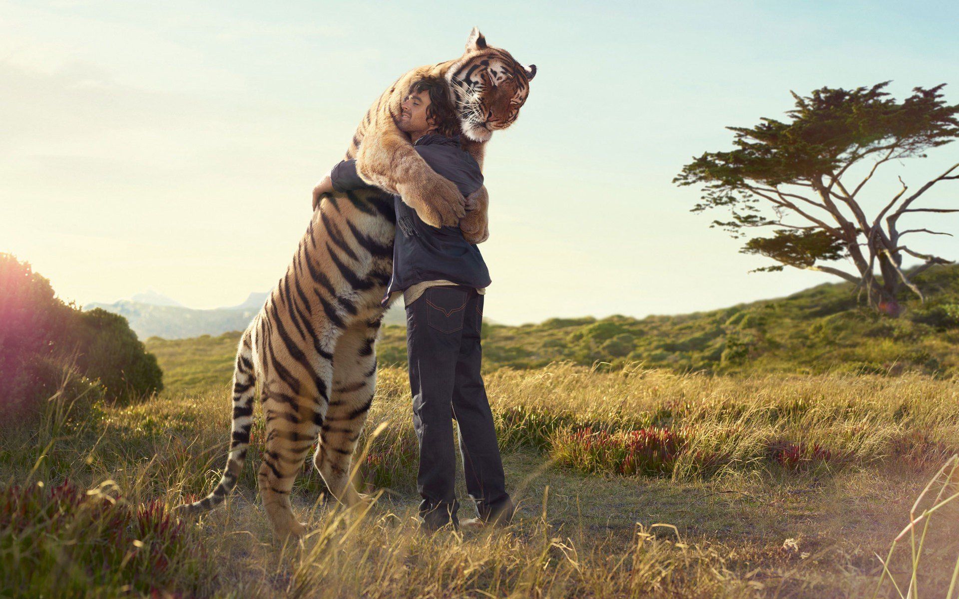 Uomo abbraccia tigre in campo, 1920x1200 Full HD+ WUXGA, PC