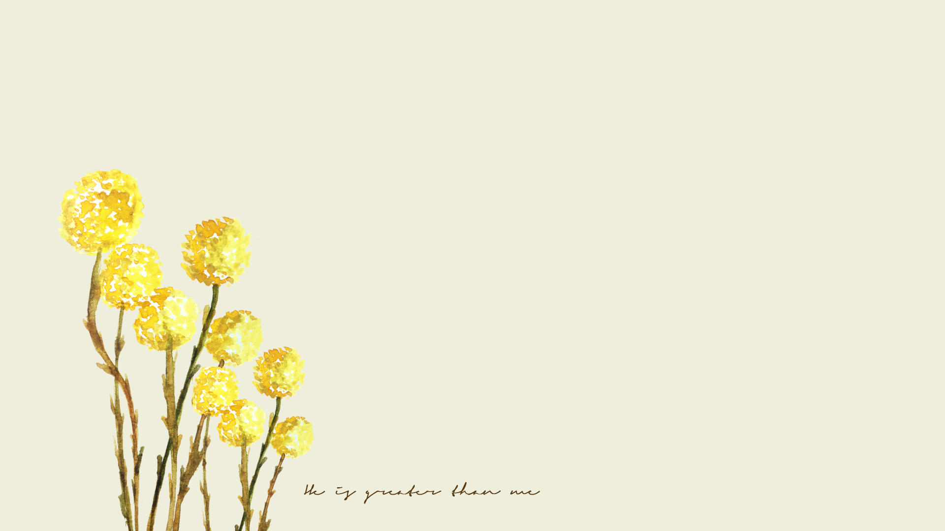 Fiori gialli su sfondo chiaro, 1920x1080 1080p, Monitor Gaming