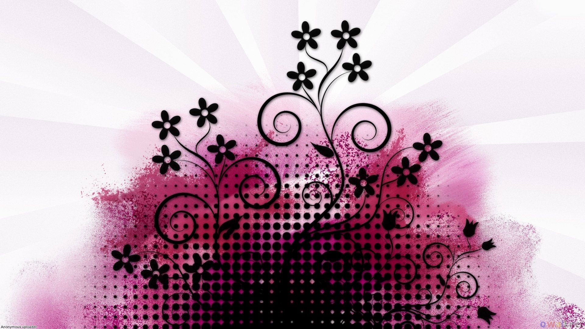 Fiori decorativi rosa e nero, 1920x1080 Full HD, Monitor Gaming