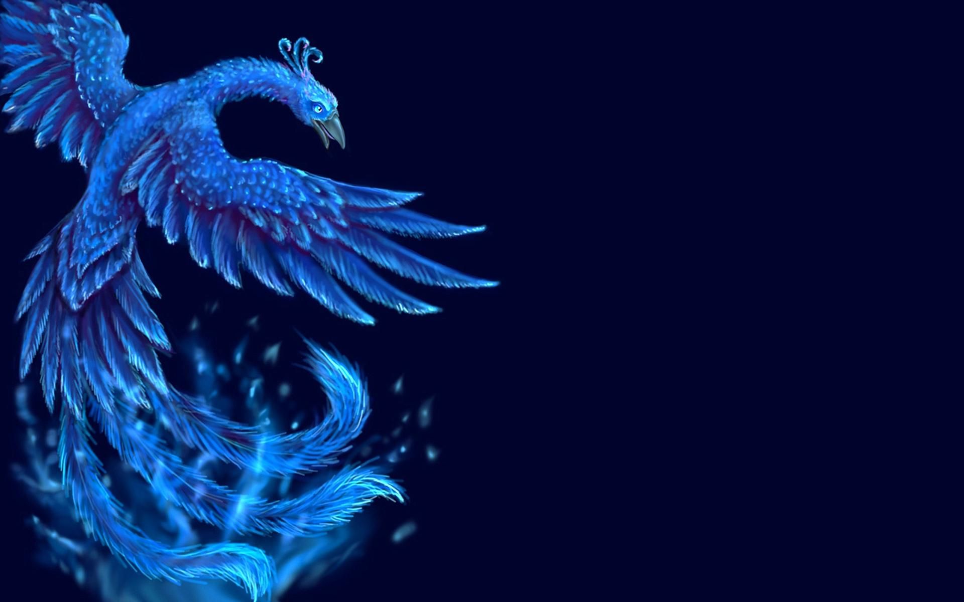 Fenice blu fiammeggiante, 1920x1200 Full HD+ WUXGA, MacBook Pro