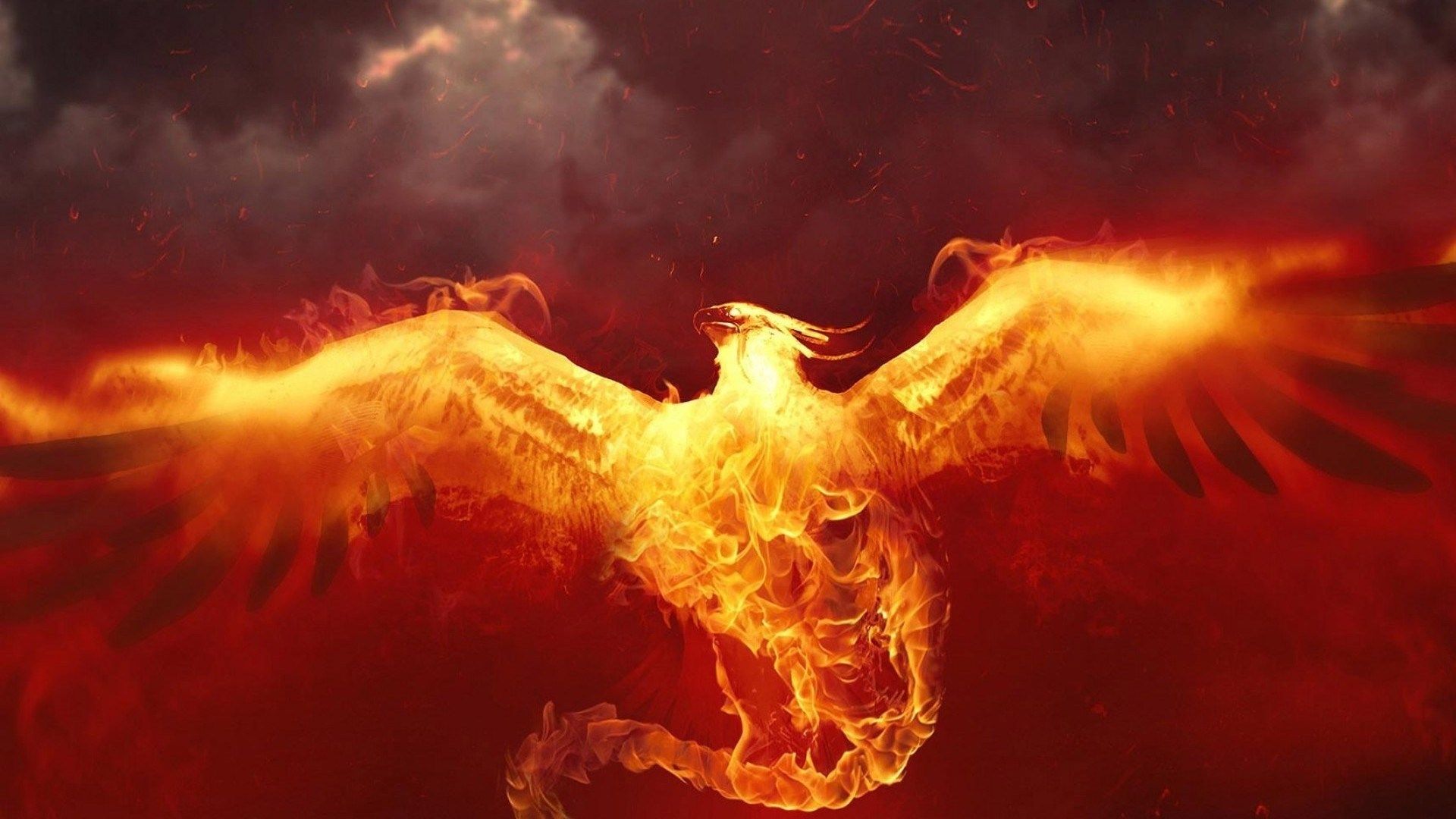 Fenice di fuoco fiammeggiante, 1920x1080 Full HD 1080p, Notebook