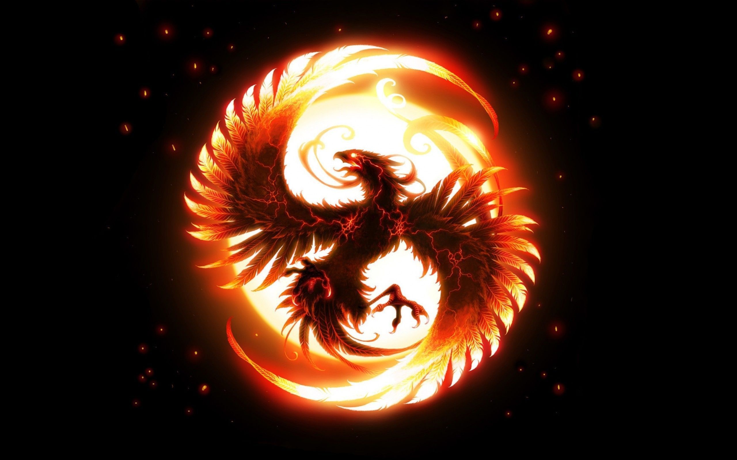 Fenice di fuoco circolare, 2560x1600 2K, Laptop