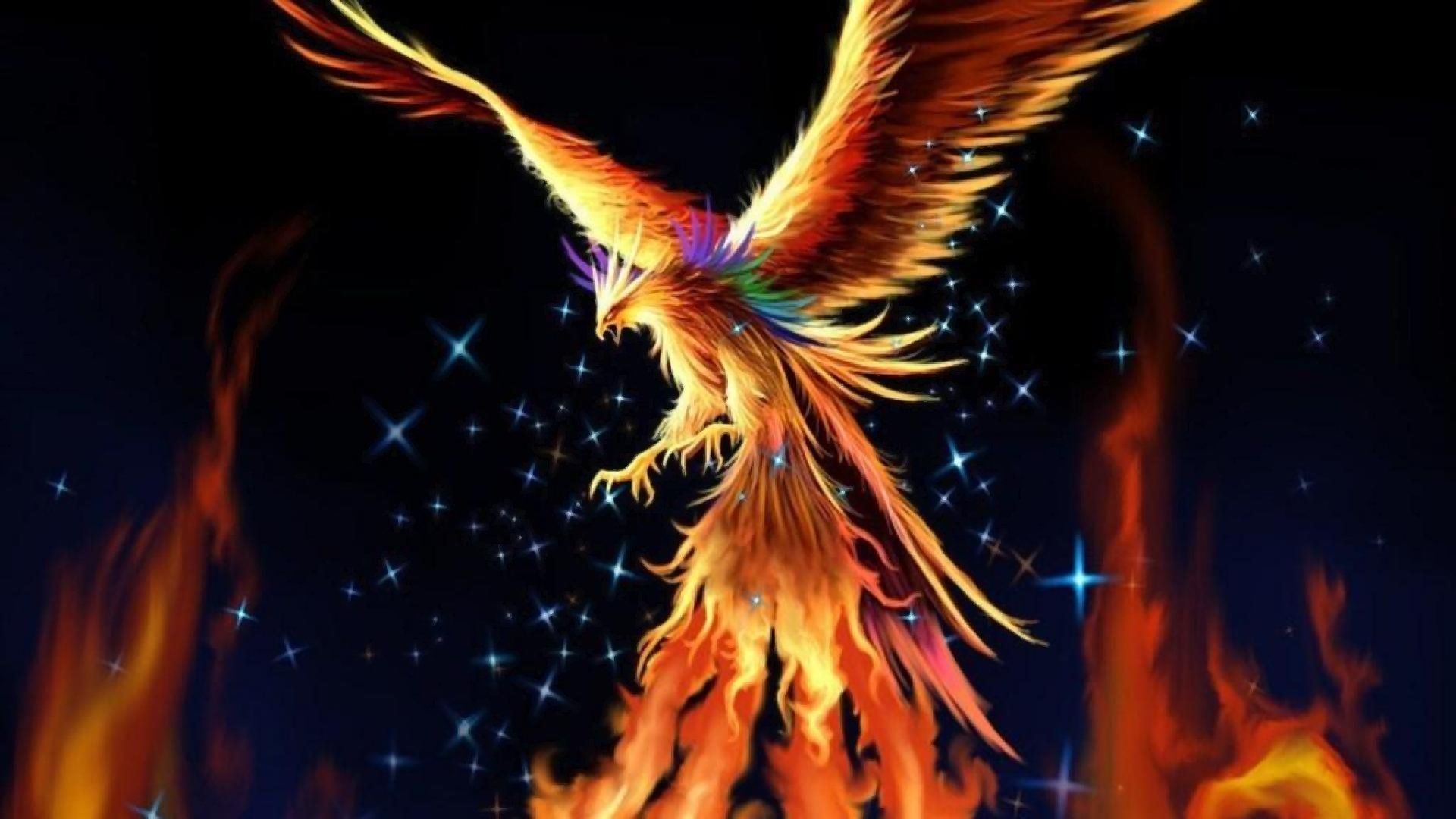 Fenice tra fiamme e stelle, 1920x1080 Full HD 1080p, Desktop