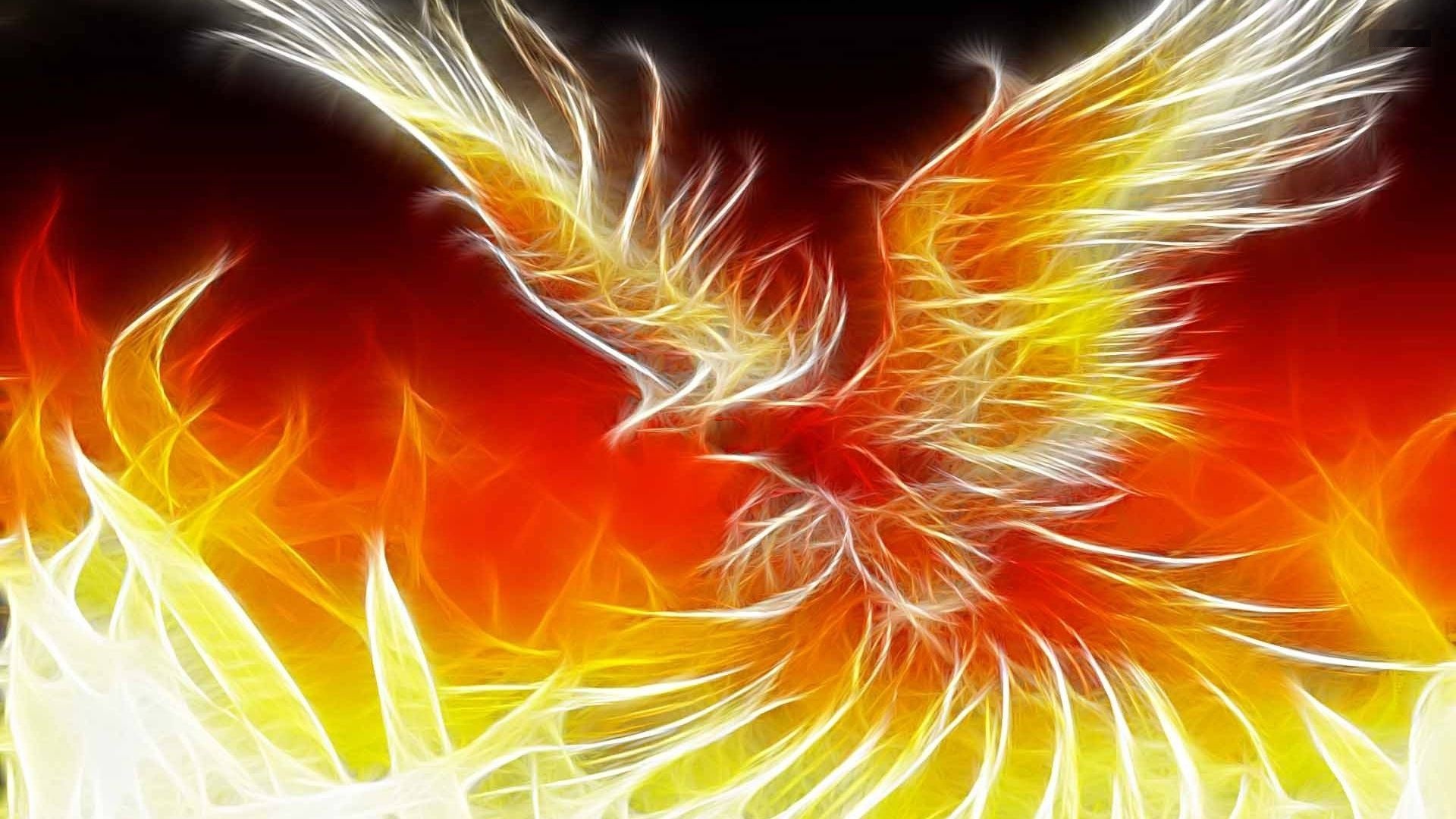Fenice fiammeggiante arancione, 1920x1080 1080p, Desktop