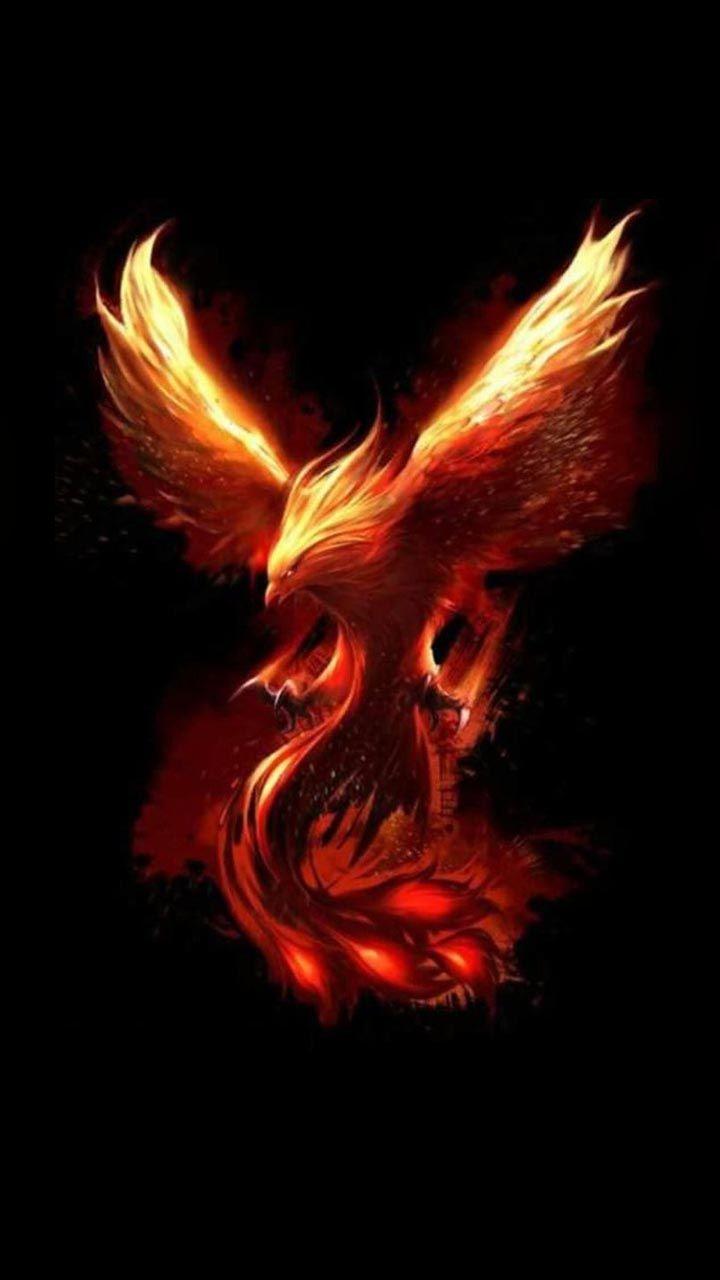 Fenice di fuoco su nero, 720x1280 Full HD Verticale, iPhone
