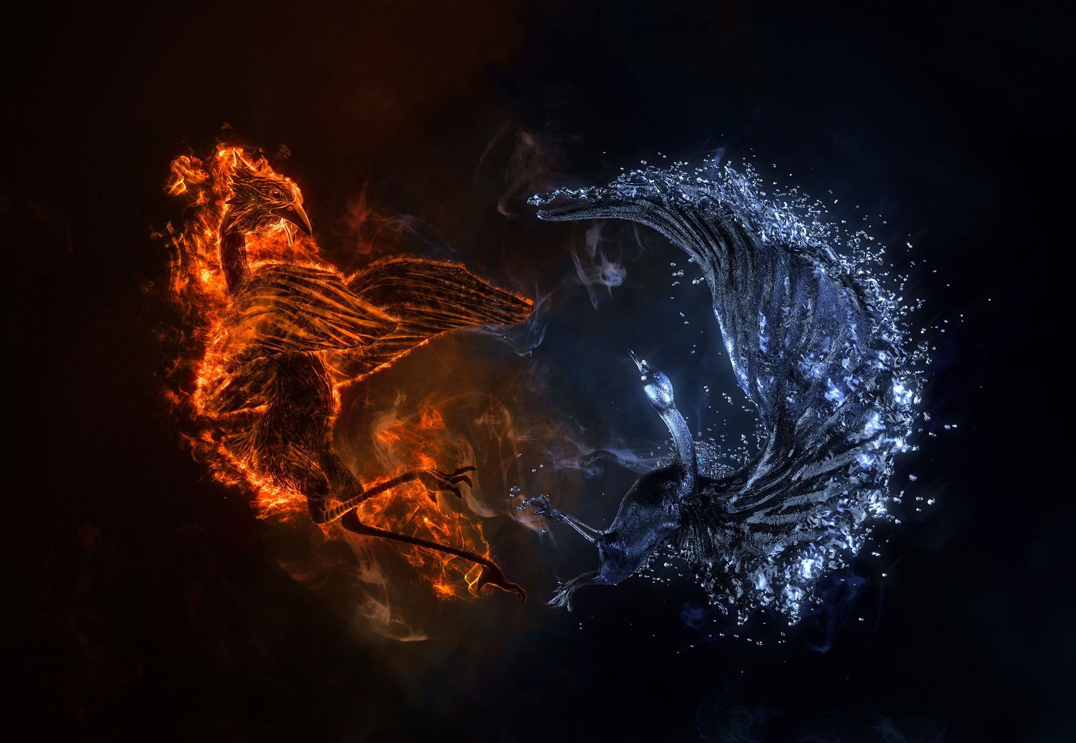 Fenice di fuoco e ghiaccio, 2200x1519 alta risoluzione, Desktop