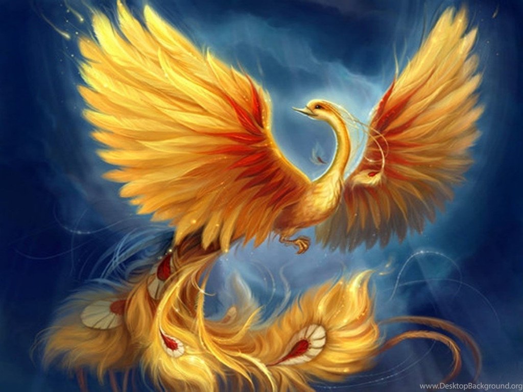 Fenice dorata ali spiegate, 1024x768 HD, Desktop