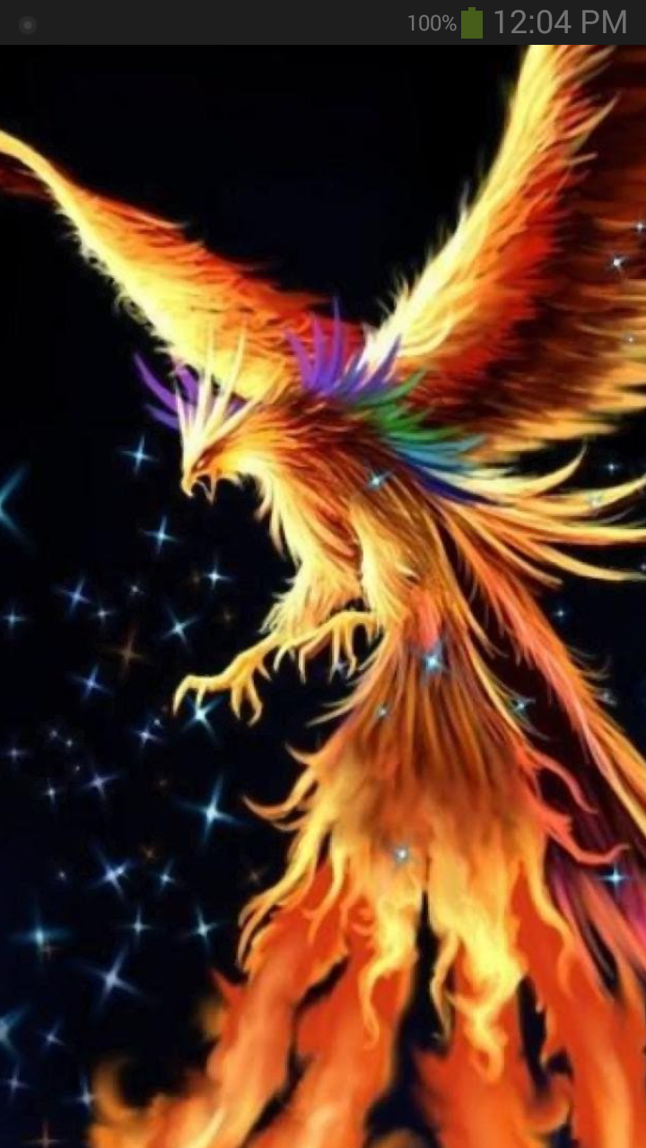 Fenice fiammeggiante su nero, 720x1280 Full HD Verticale, iPhone