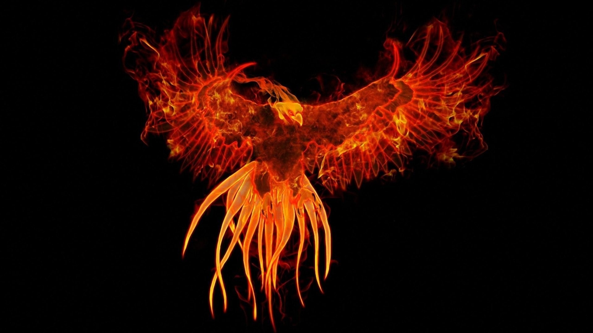 Fenice di fuoco arancione, 1920x1080 Full HD, Laptop