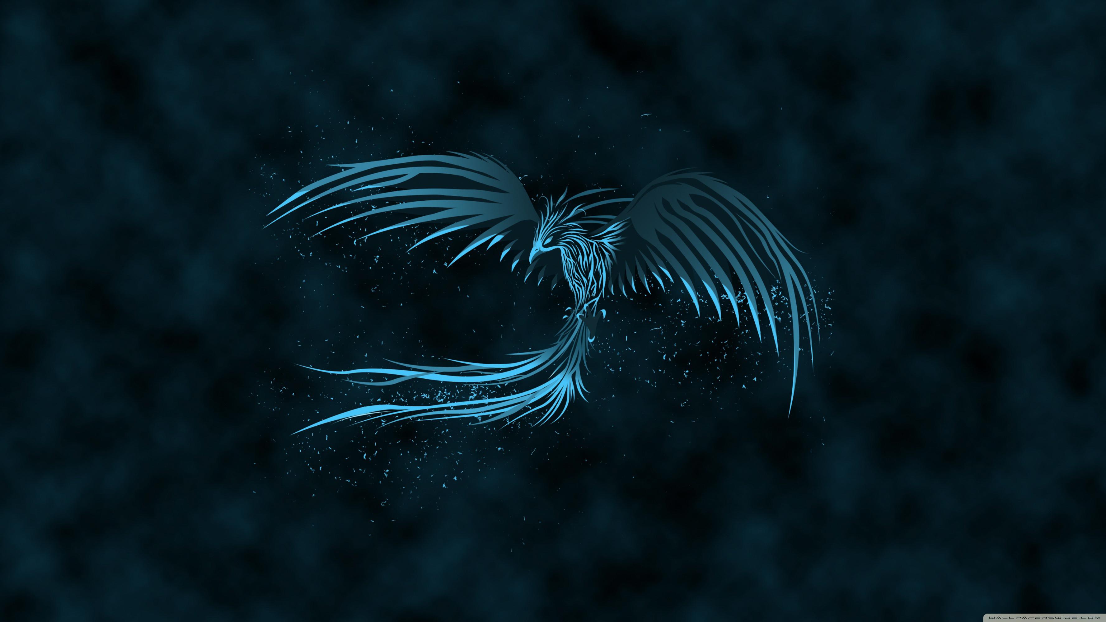 Fenice blu luminosa scuro, 3554x1999 2K, PC