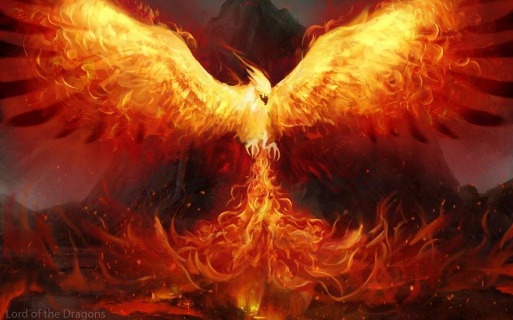 Fenice fiammeggiante ali spiegate, 1680x1050 HD Ready, Desktop