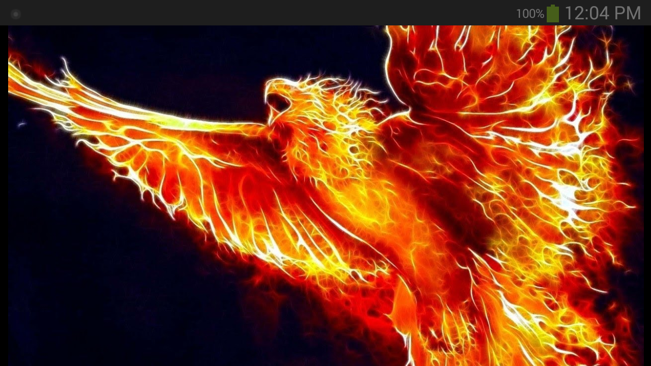 Fenice di fuoco su nero, 1280x720 HD, Desktop