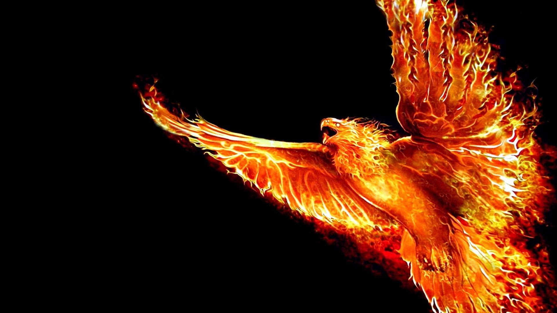 Fenice di fuoco su nero, 1920x1080 1080p, Laptop