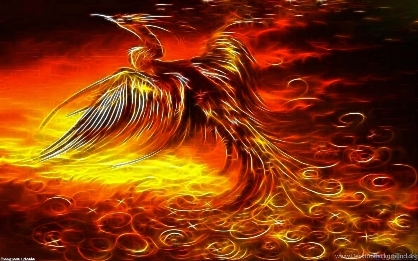 Fenice di fuoco fiammeggiante, 1440x900 HD, Desktop