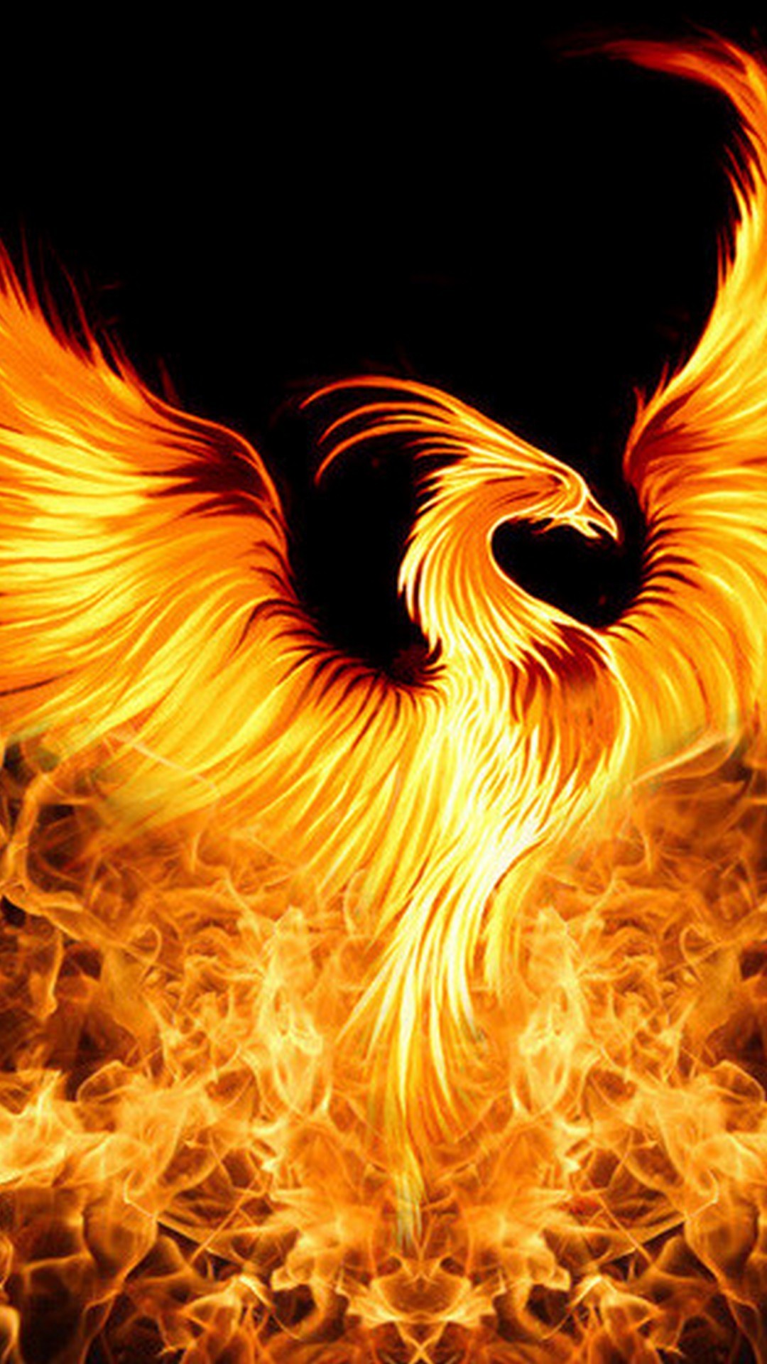 Fenice di fuoco arancione, 1080x1920 Verticale, Mobile