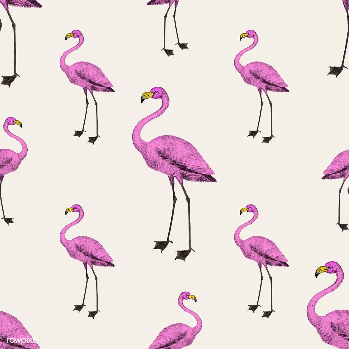 Fenicotteri rosa pattern, 1200x1200 HD, Desktop