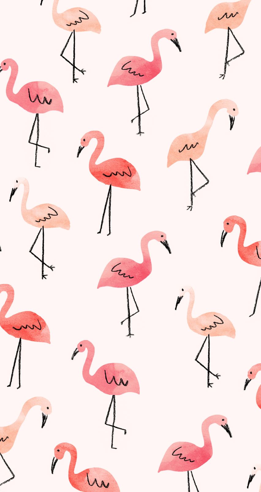 Fenicotteri rosa illustrati pattern, 852x1608 Verticale, Mobile