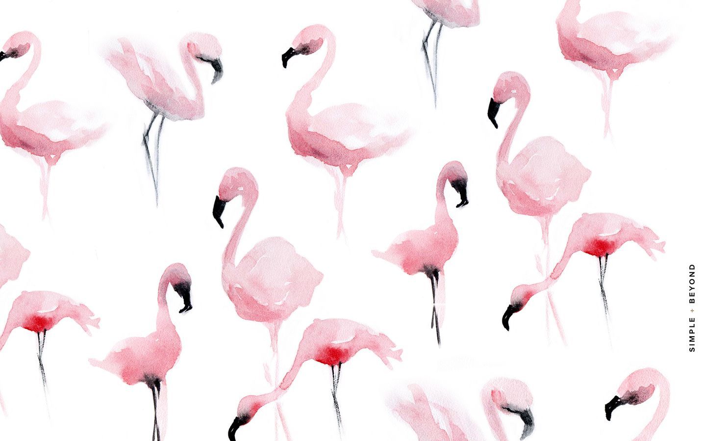 Fenicotteri rosa ad acquerello, 1440x900 720p, Laptop