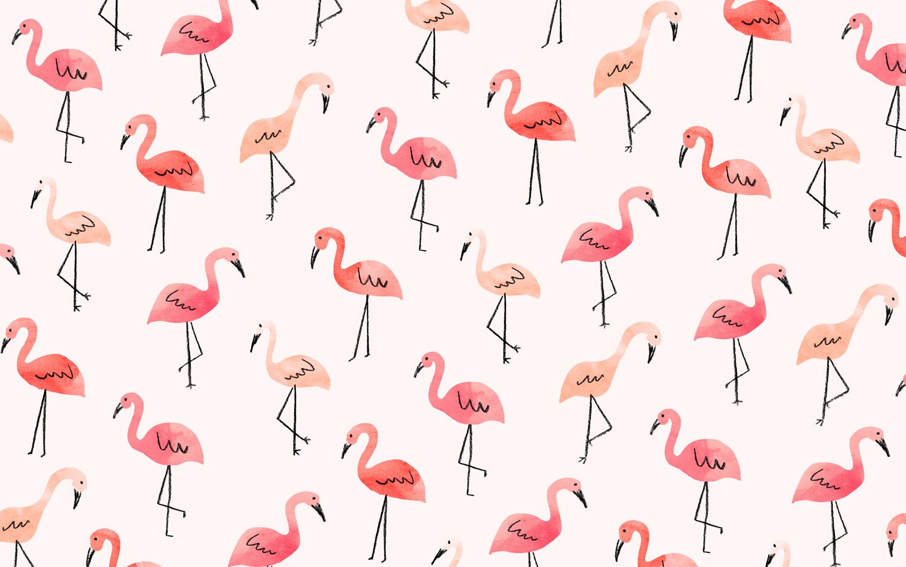 Pattern fenicotteri rosa illustrati, 1856x1161 HD Ready, Desktop
