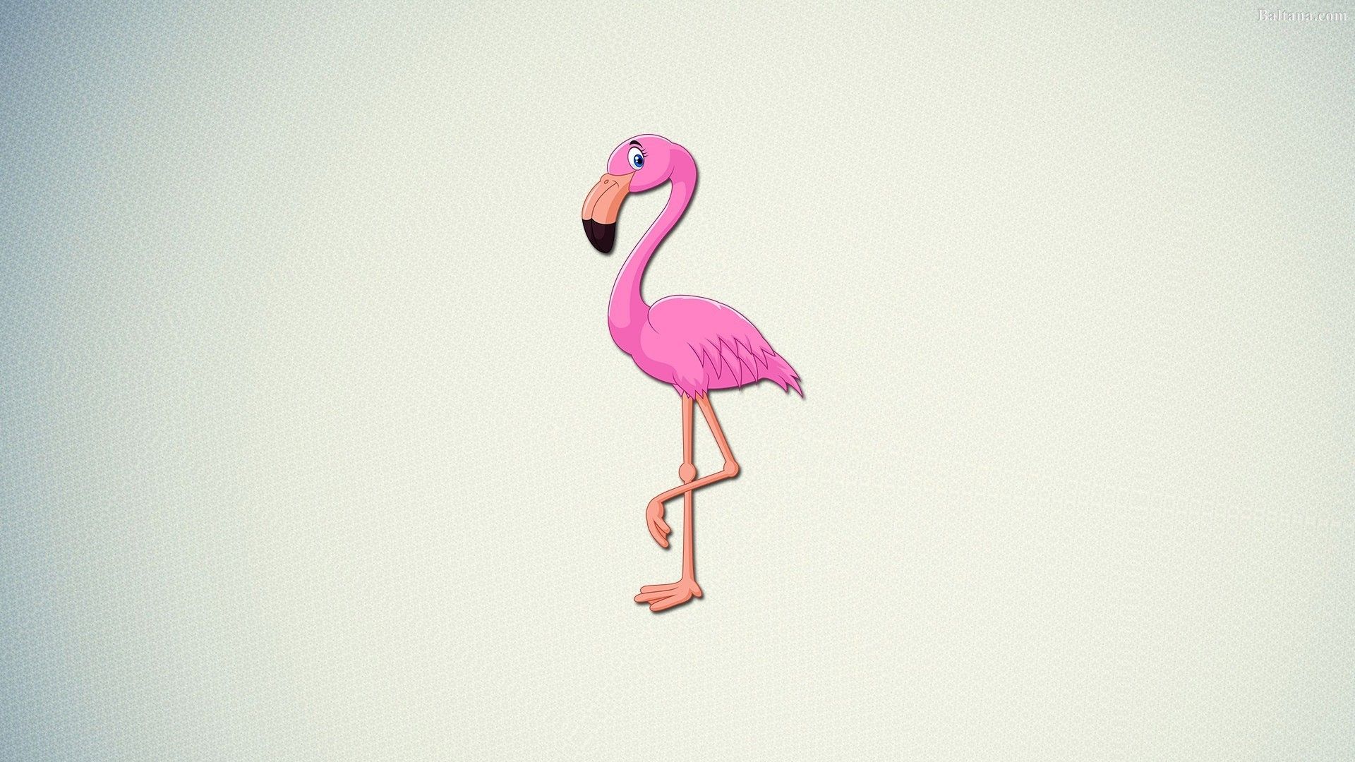 Fenicottero dorato scritta rosa, 1080x1920 Verticale, Telefono