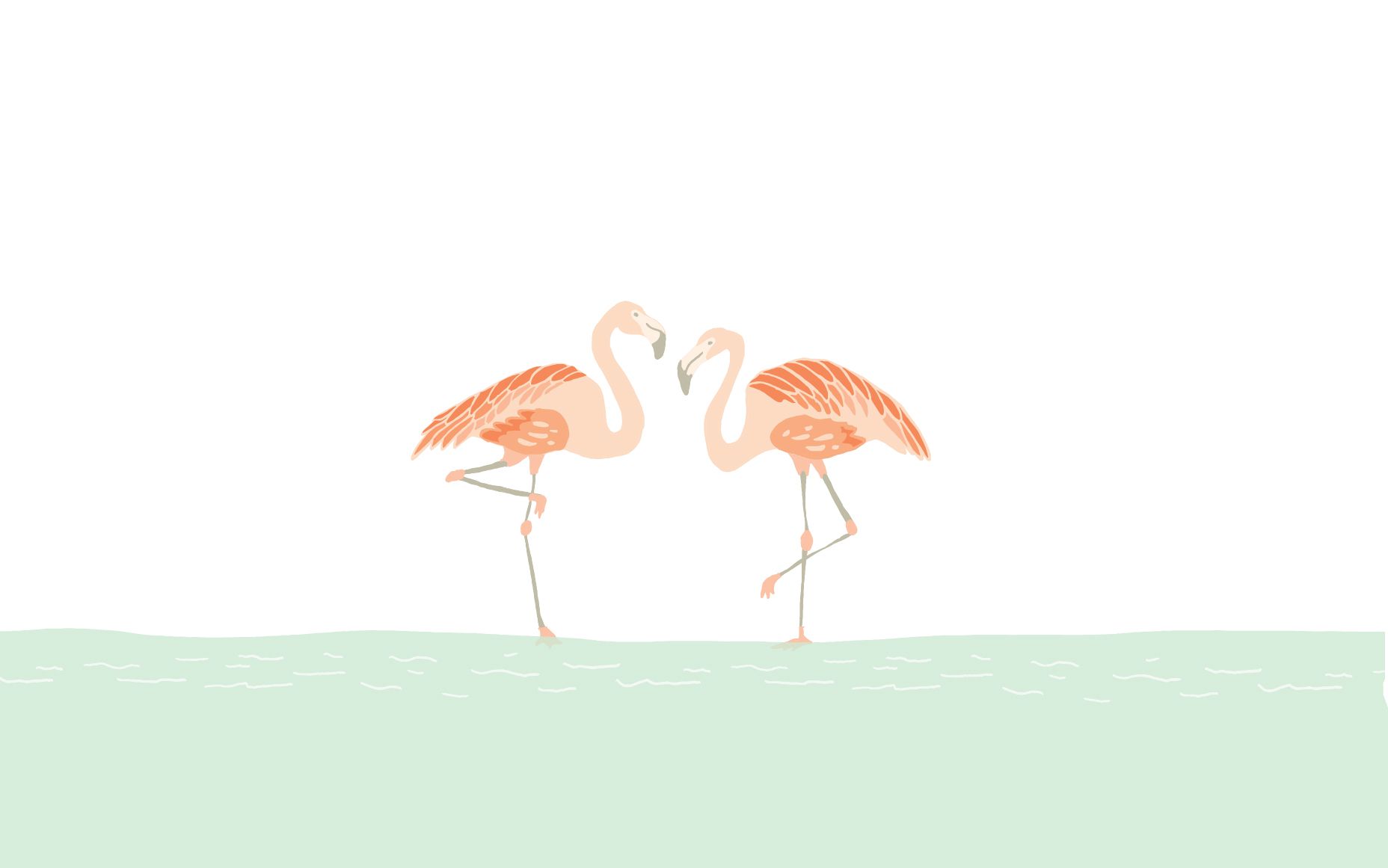 Fenicotteri rosa e foglie tropicali, 1920x1920 Full HD+, Desktop