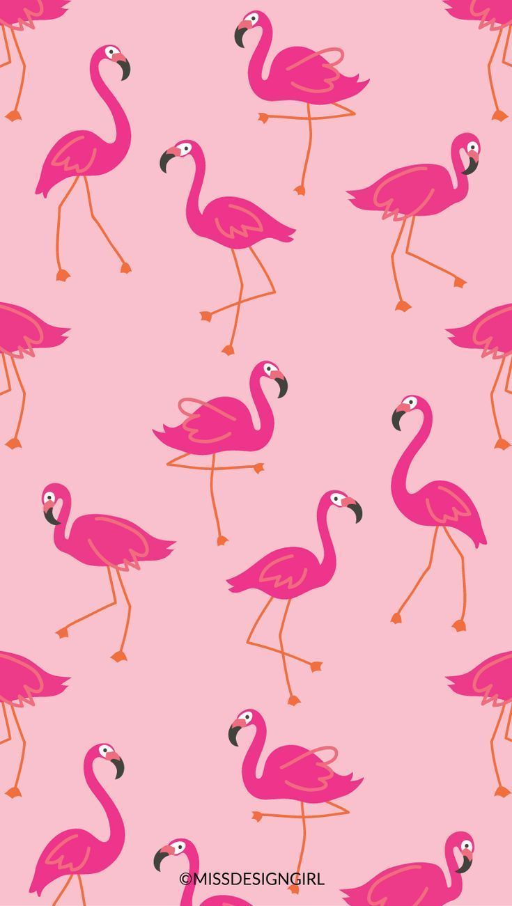 Fenicotteri rosa pattern, 735x1301 Verticale, Mobile