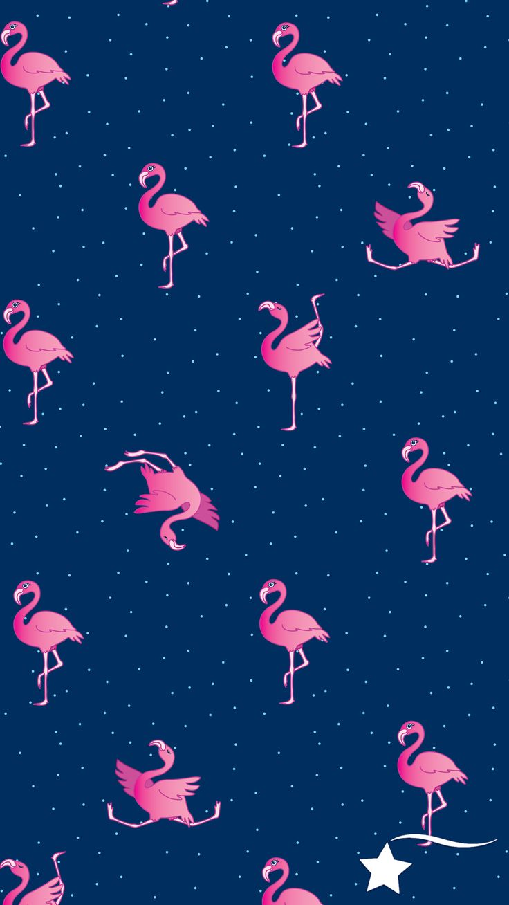 Fenicotteri rosa sfondo blu, 736x1308 Full HD Verticale, Google Pixel