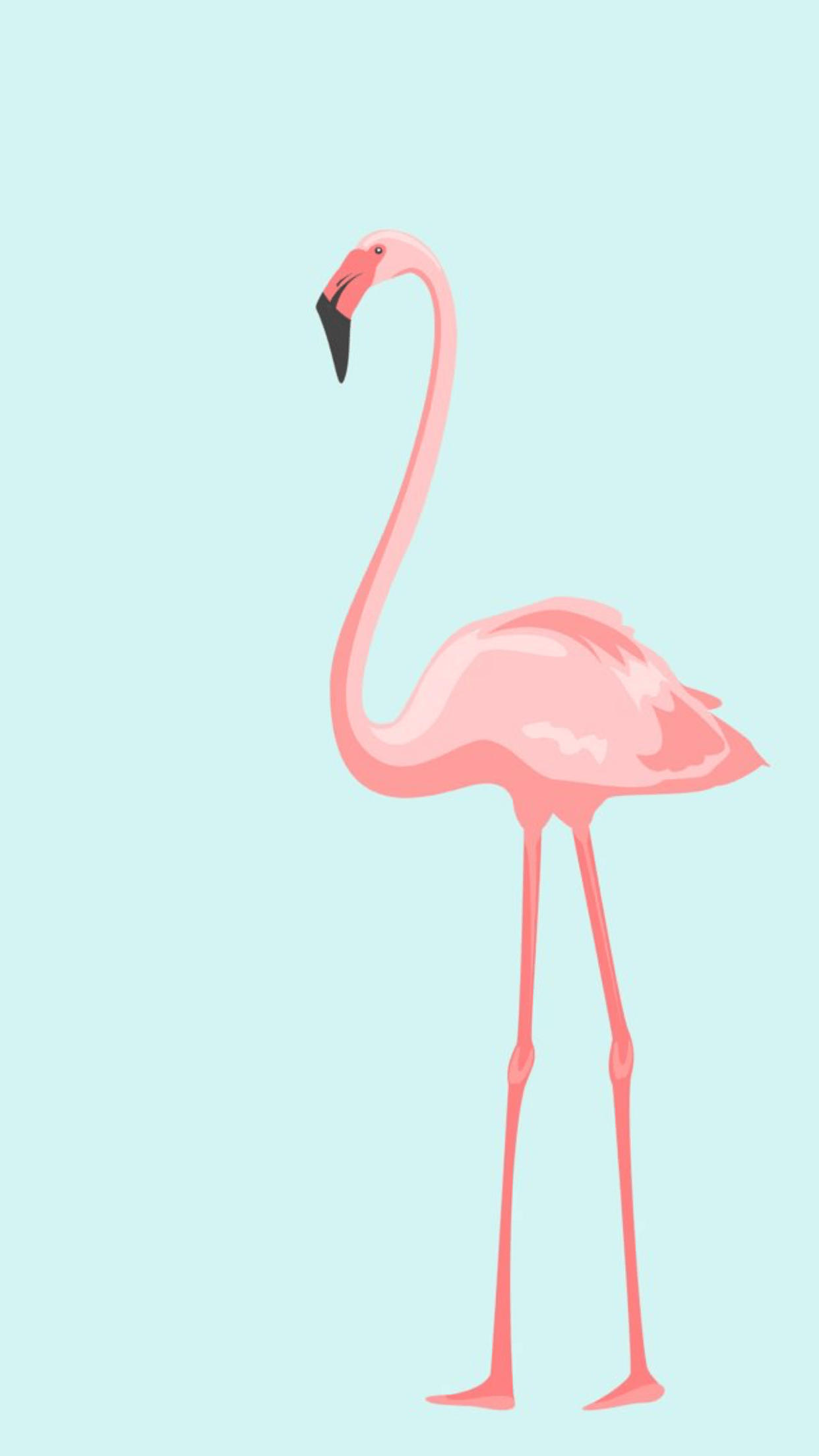 Fenicottero rosa minimalista, 1242x2208 Full HD Verticale, Smartphone