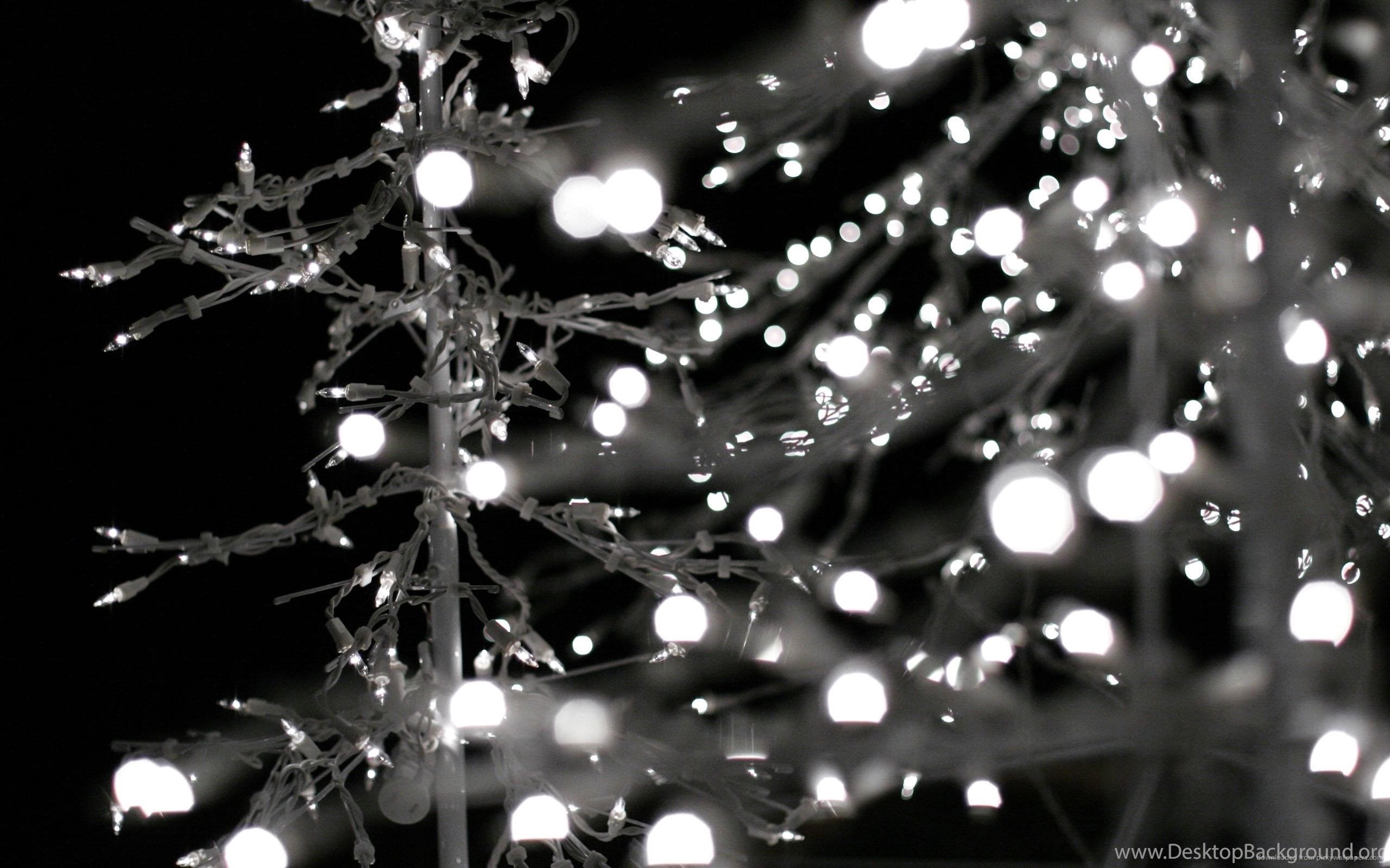 Luci natalizie su albero nero, 2560x1600 WQXGA, Laptop