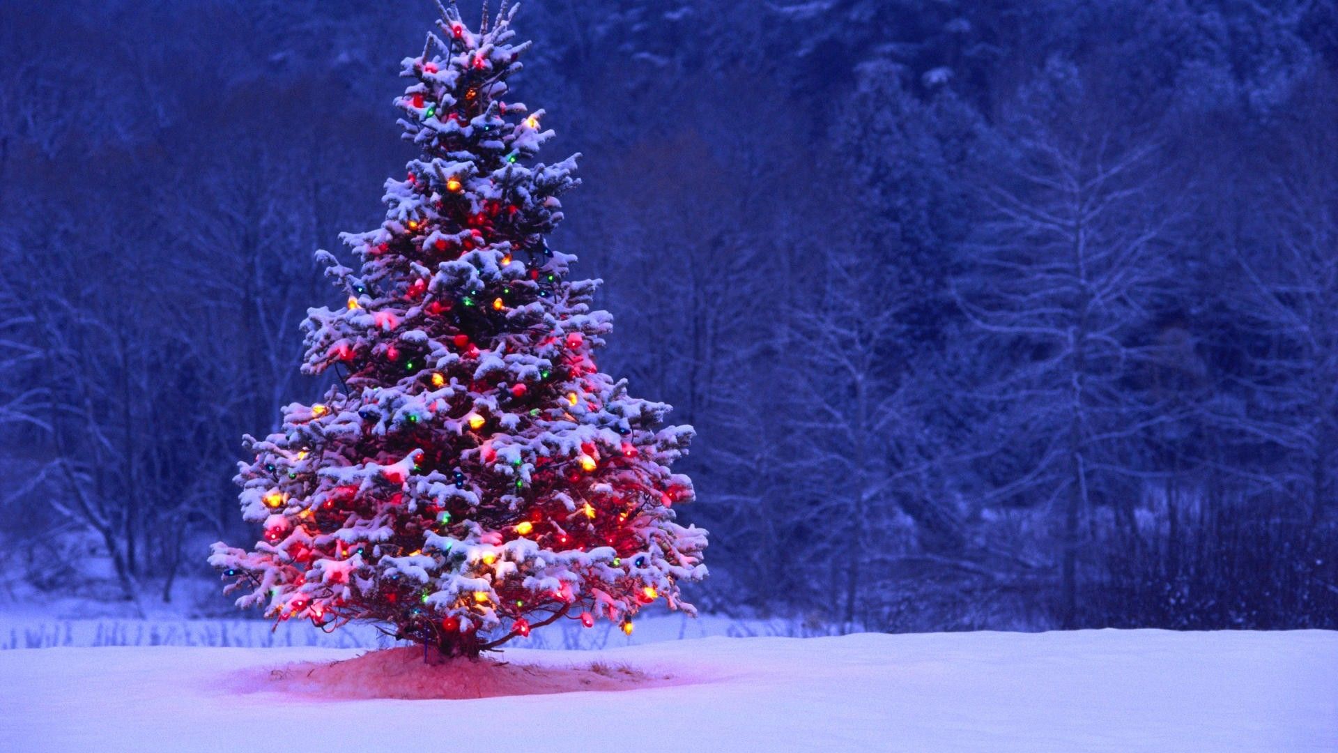 Albero di Natale innevato luminoso, 1920x1080 Full HD 1080p, PC
