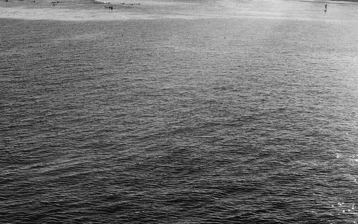 Spiaggia e mare bianco e nero, 1440x900 HD, Desktop