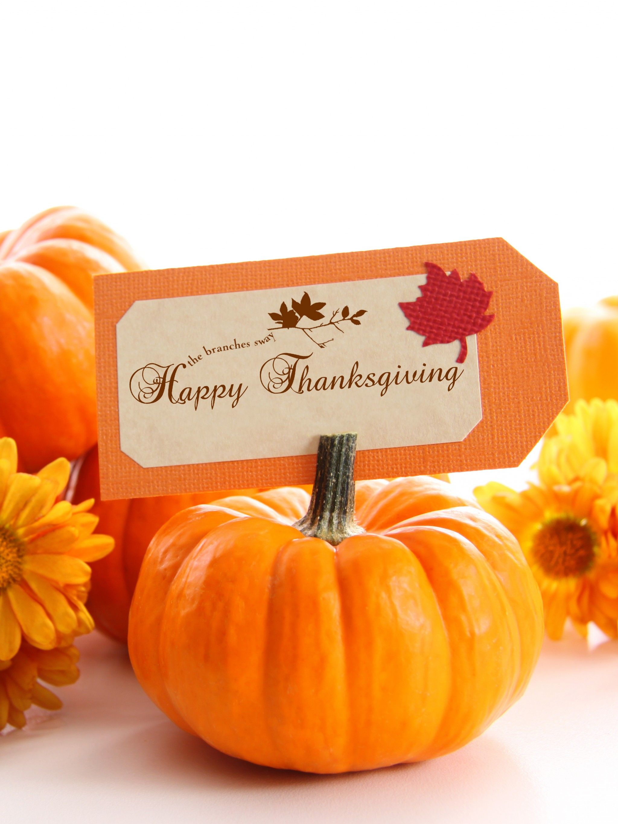 Zucca con cartellino Happy Thanksgiving, 2048x2732 Verticale, Mobile