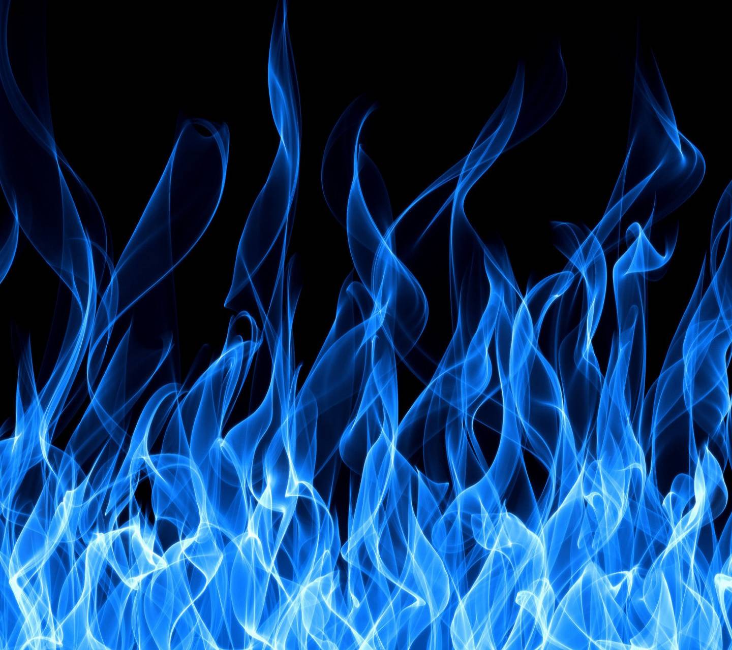 Fiamme blu su nero, 1440x1280 HD, Desktop