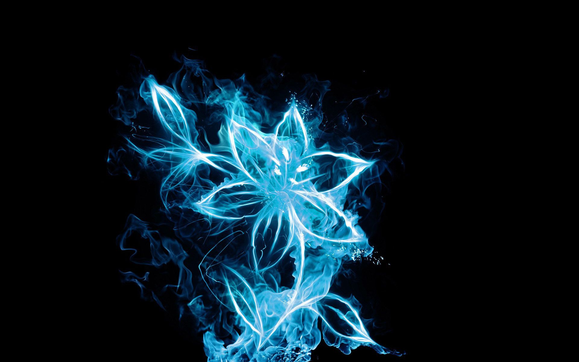 Fiore di fiamme blu, 1920x1200 WUXGA, Desktop