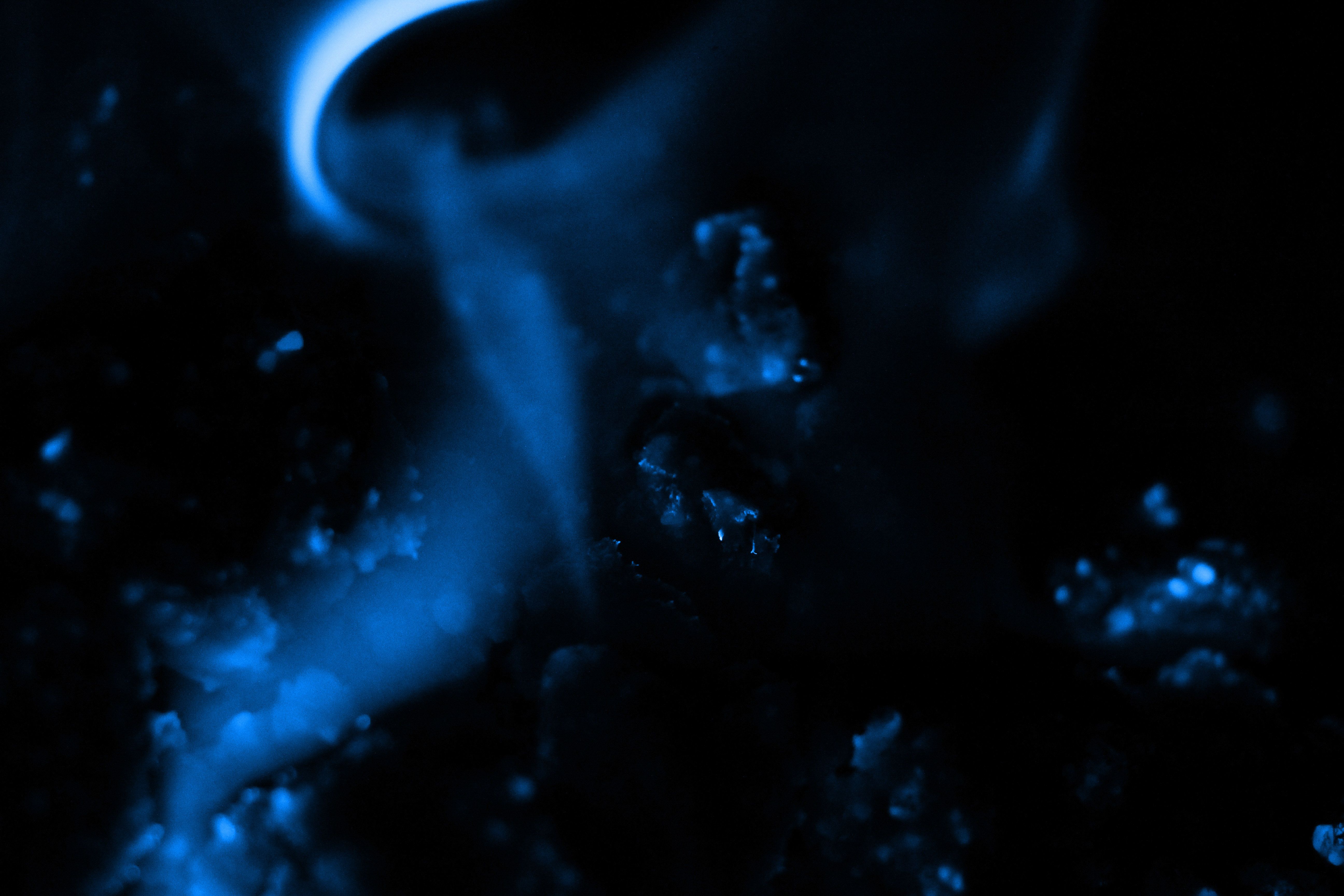 Fiamme blu su sfondo bianco, 1280x800 720p, Laptop