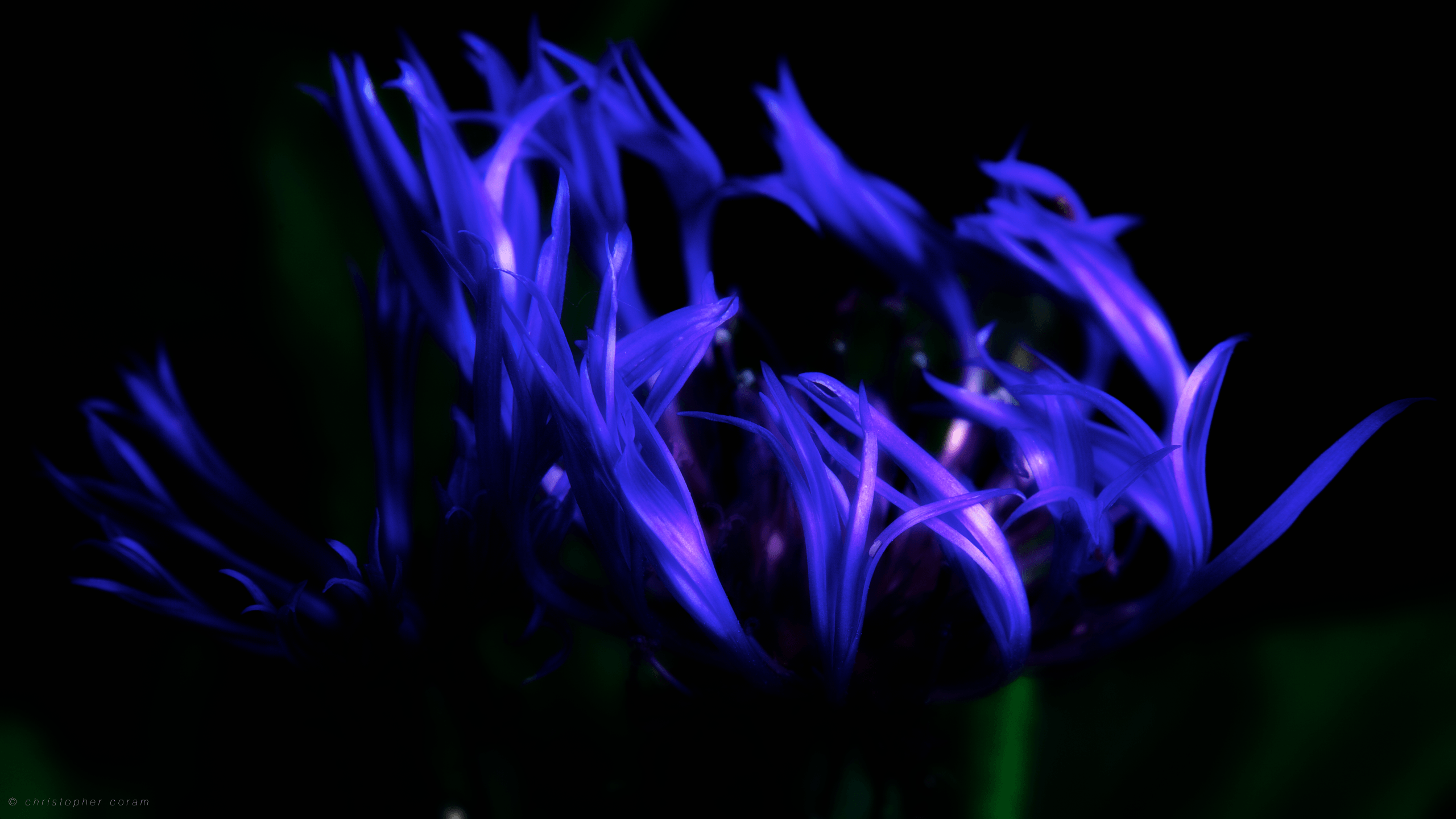 Fiamme blu su superficie metallica, 1920x1200 WUXGA, iMac