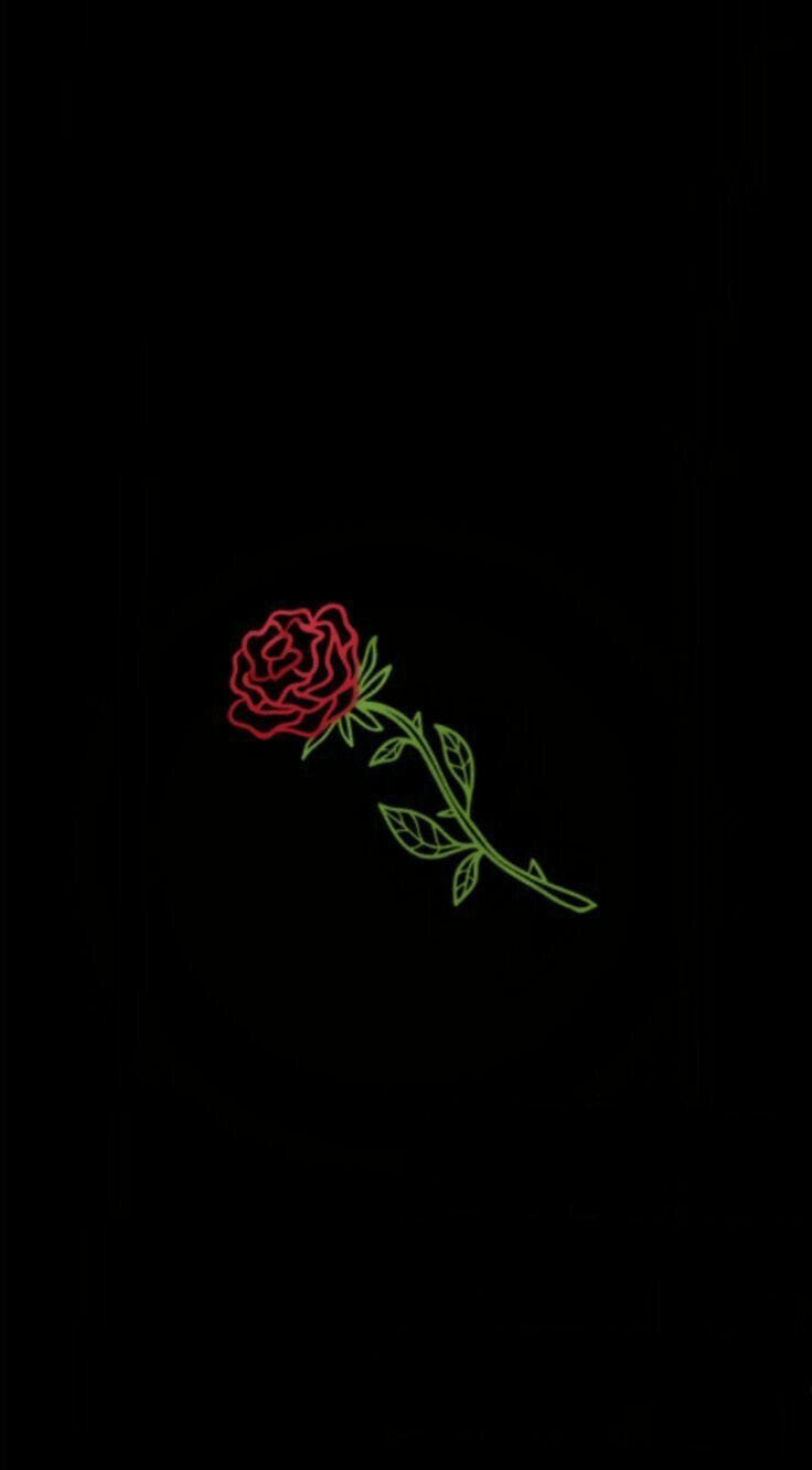 Rosa rossa minimalista sfondo nero, 736x1332 Verticale, Mobile