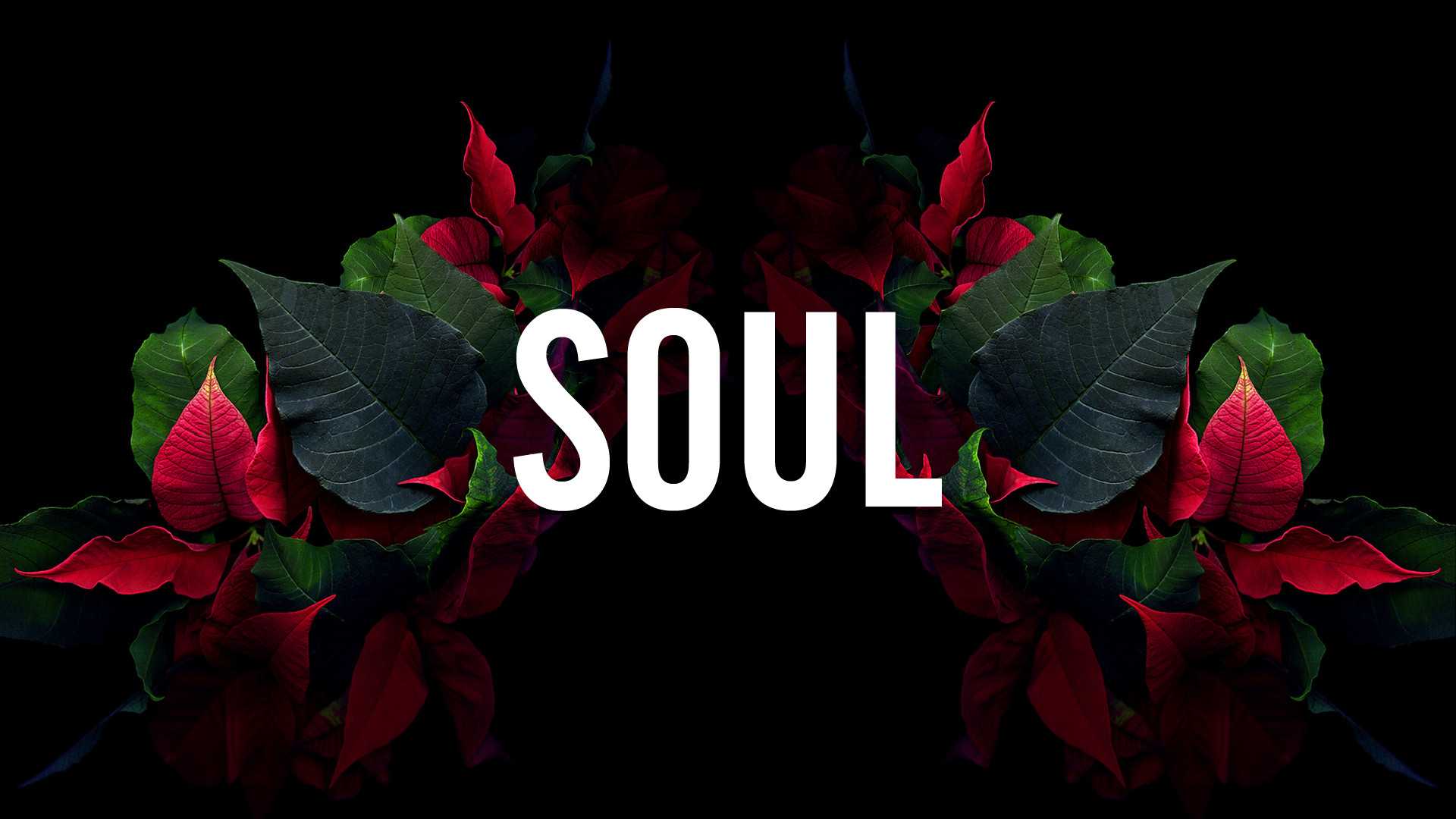 Fiori rossi con testo Soul, 1920x1080 1080p, Laptop