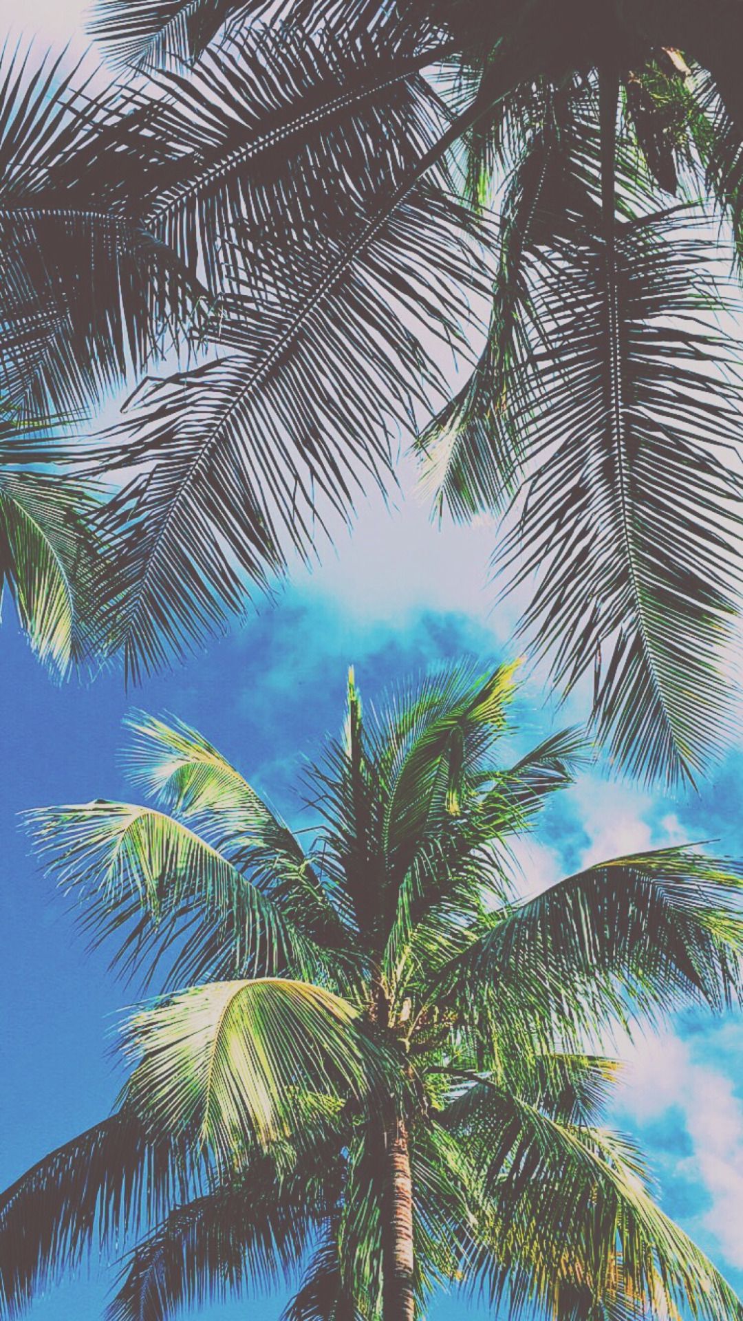 Palme cielo blu, 1080x1920 Verticale, Telefono