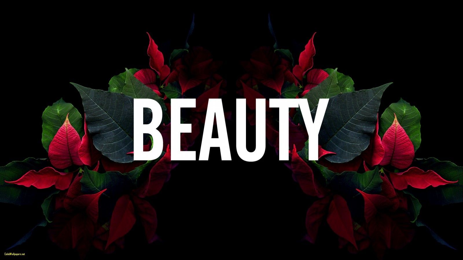 Fiori rossi con scritta Beauty, 1600x900 HD, PC Desktop