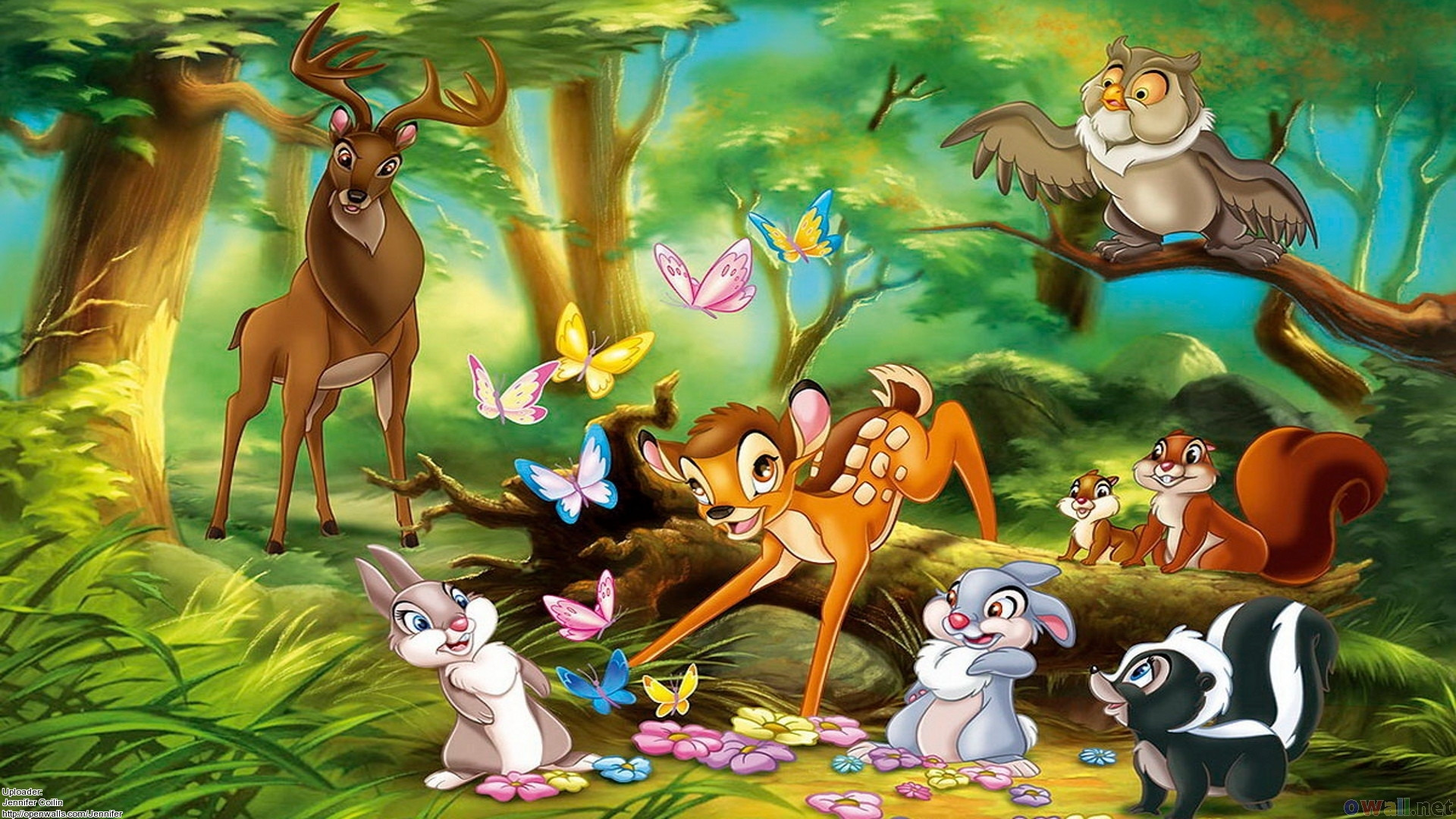 Bambi e amici della foresta, 1920x1080 1080p, PC Desktop