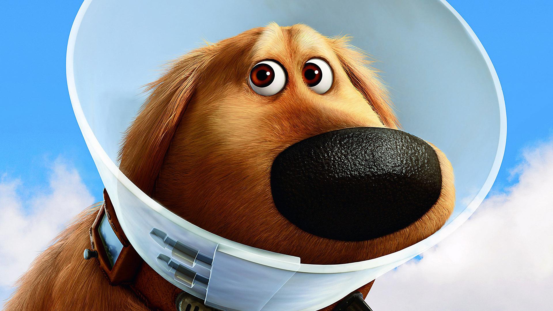 Dug il cane, film Up, 1920x1080 Full HD 1080p, Laptop