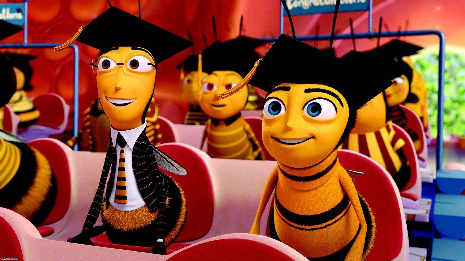 Api animate Bee Movie laurea, 1920x1080 1080p, Desktop