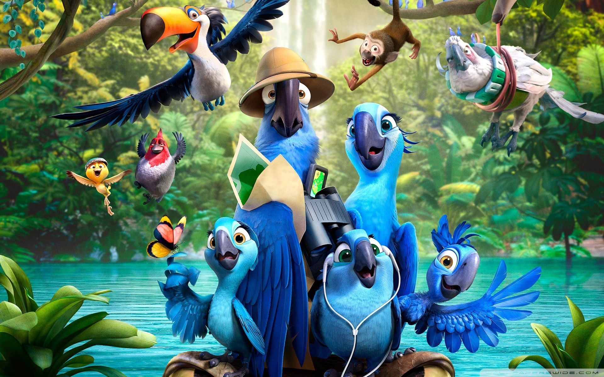 Pappagalli blu film Rio, 1920x1200 Full HD+ WUXGA, Laptop