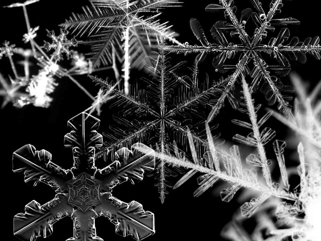 Fiocchi di neve bianco e nero, 1024x768 HD, Laptop