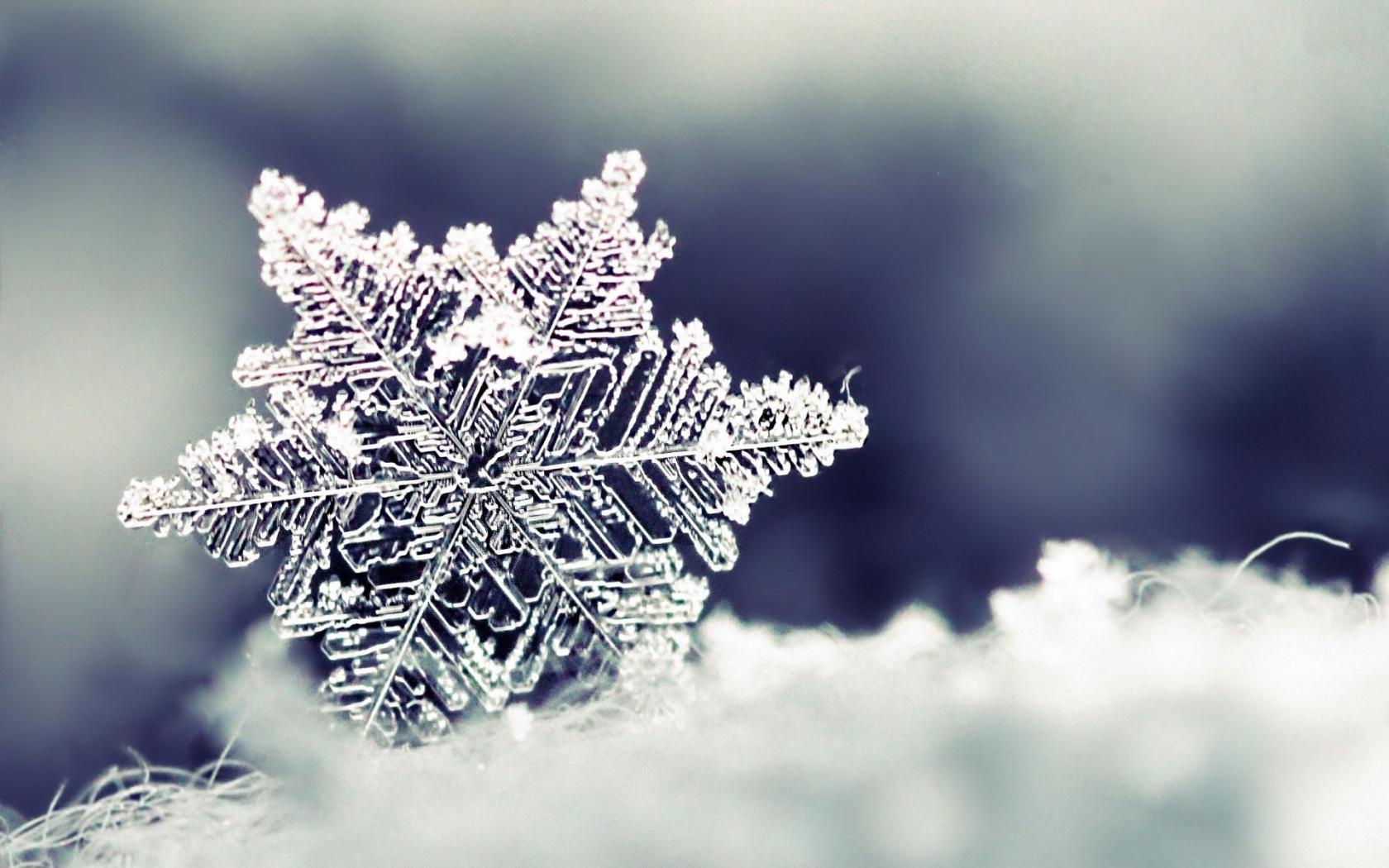 Fiocco di neve macro sfondo sfocato, 1680x1050 HD Ready, Laptop