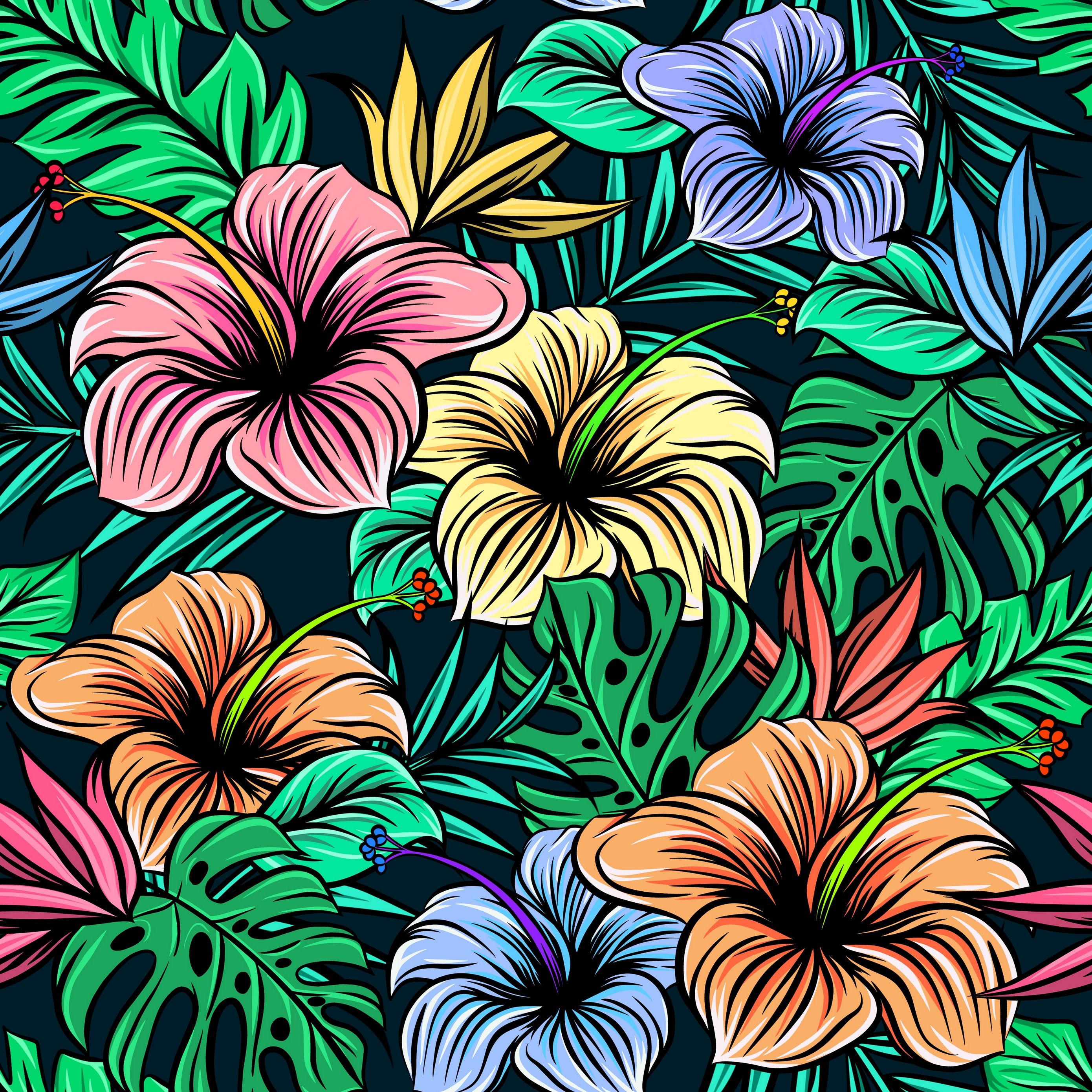 Fiori di ibisco colorati tropicali, 2780x2780 WQXGA, Monitor Gaming